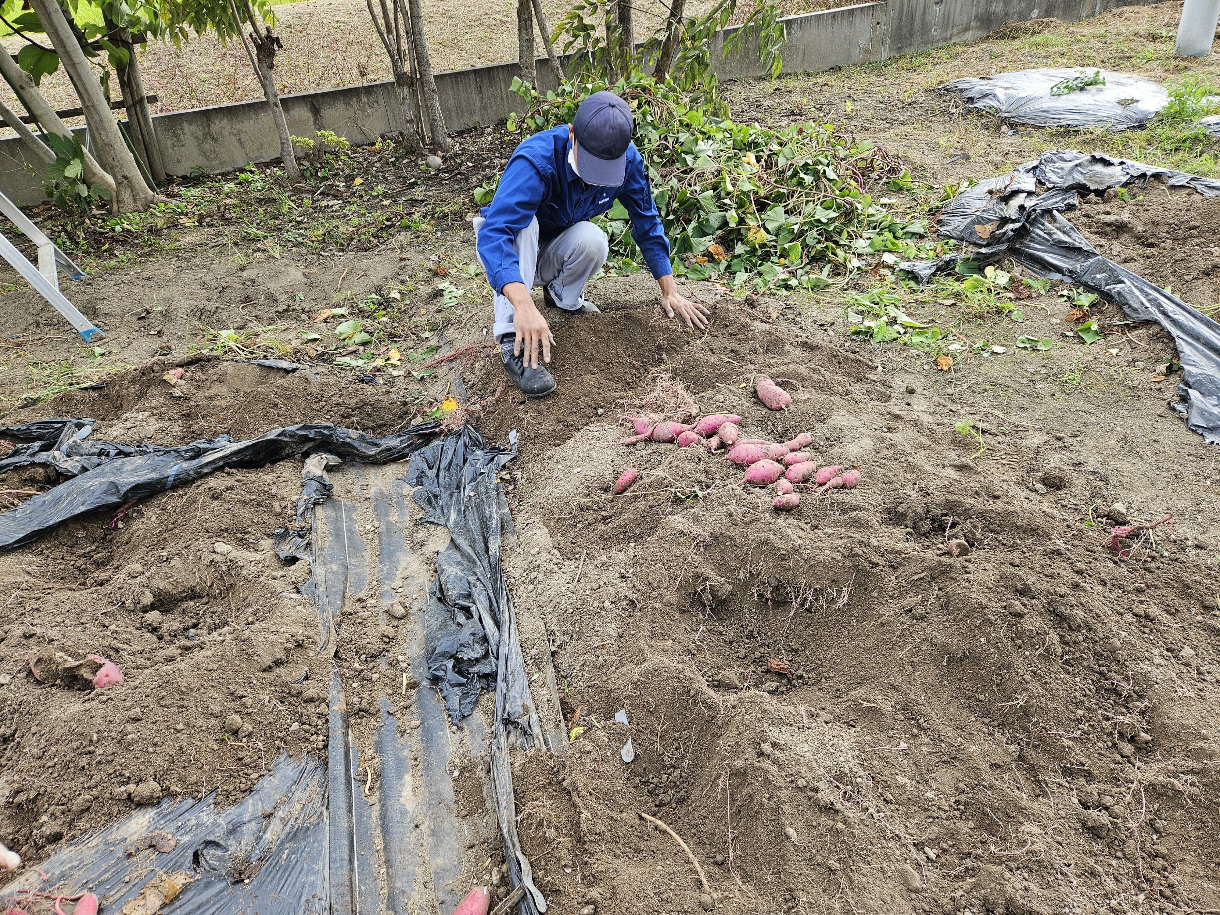 http://www.sanritsu.com/blog/1000005136.jpg