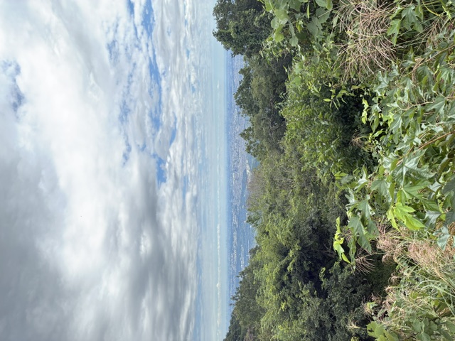 http://www.sanritsu.com/blog/IMG_7919.jpeg