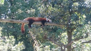 いしかわ動物園2.jpg