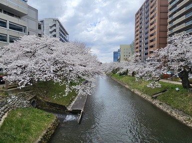20250406_114556.jpg