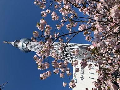 IMG_6747.jpg