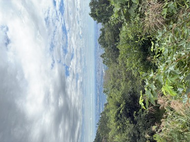 IMG_7919.jpeg