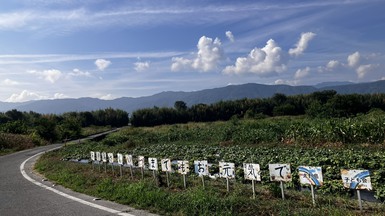 S__86597635.jpg