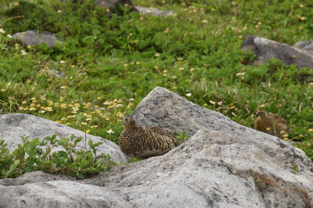 DSC_0892.JPG