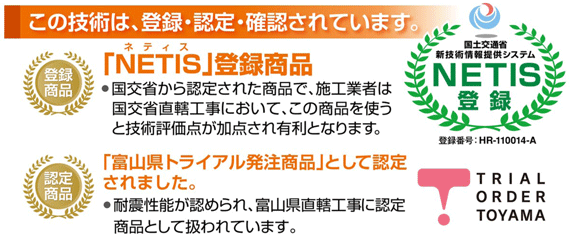 FF-netis.gif